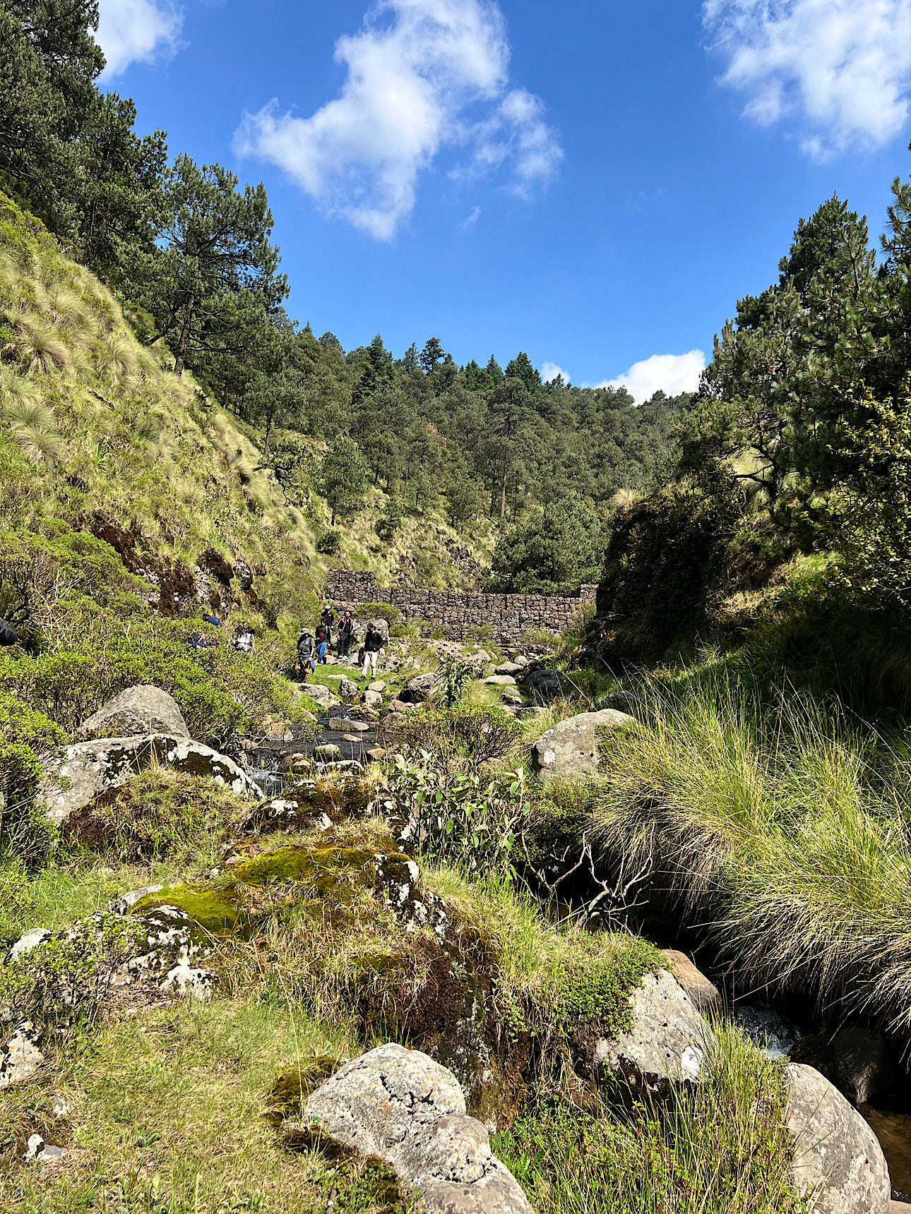Bienes comunales de La Magdalena Atlitic