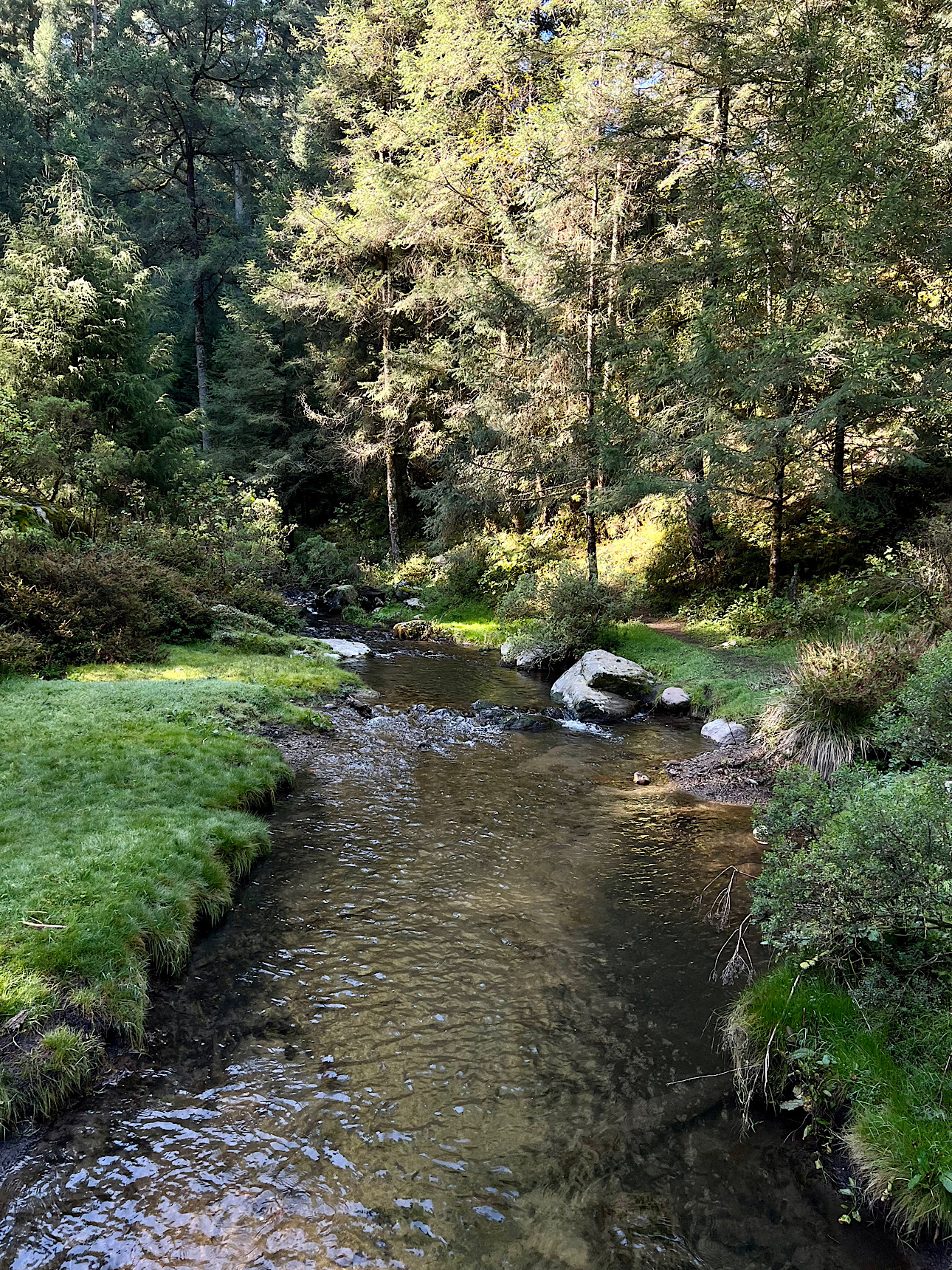 Río Magdalena, bienes comunales de La Magdalena Atlitic